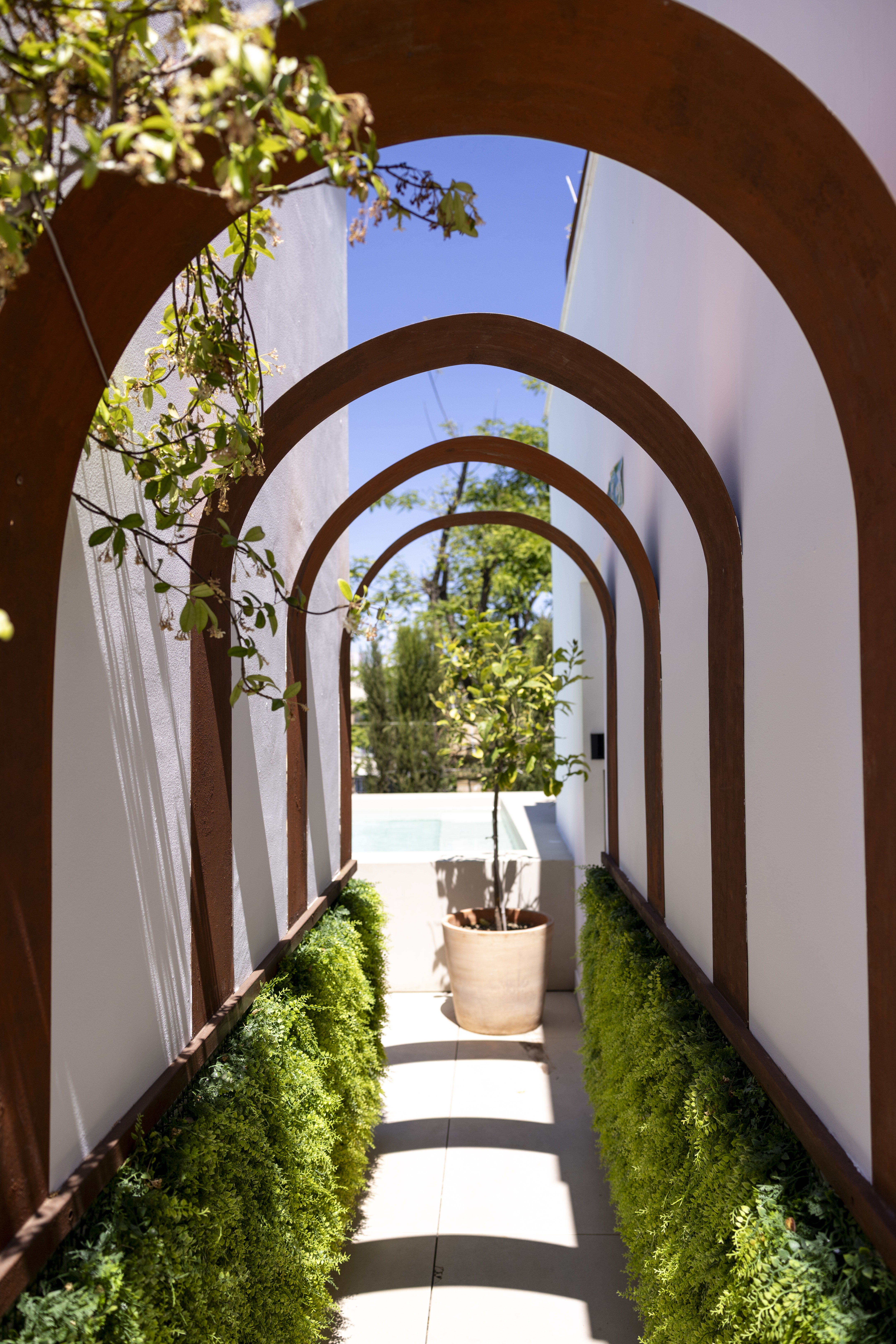 cavalta 20 mayo 2025 286