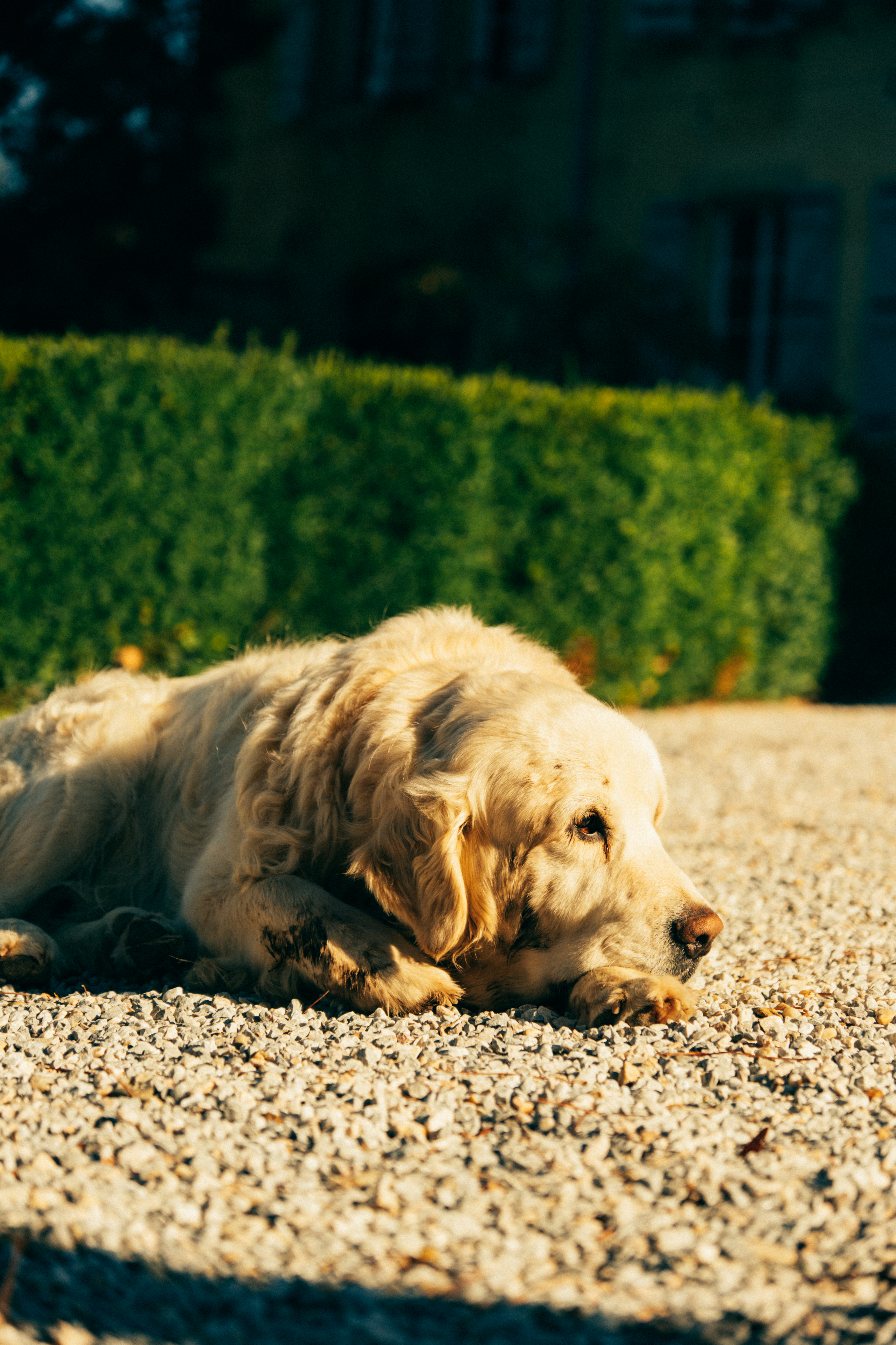 2025 09 18 domaine de camboyer exterieur jour 29