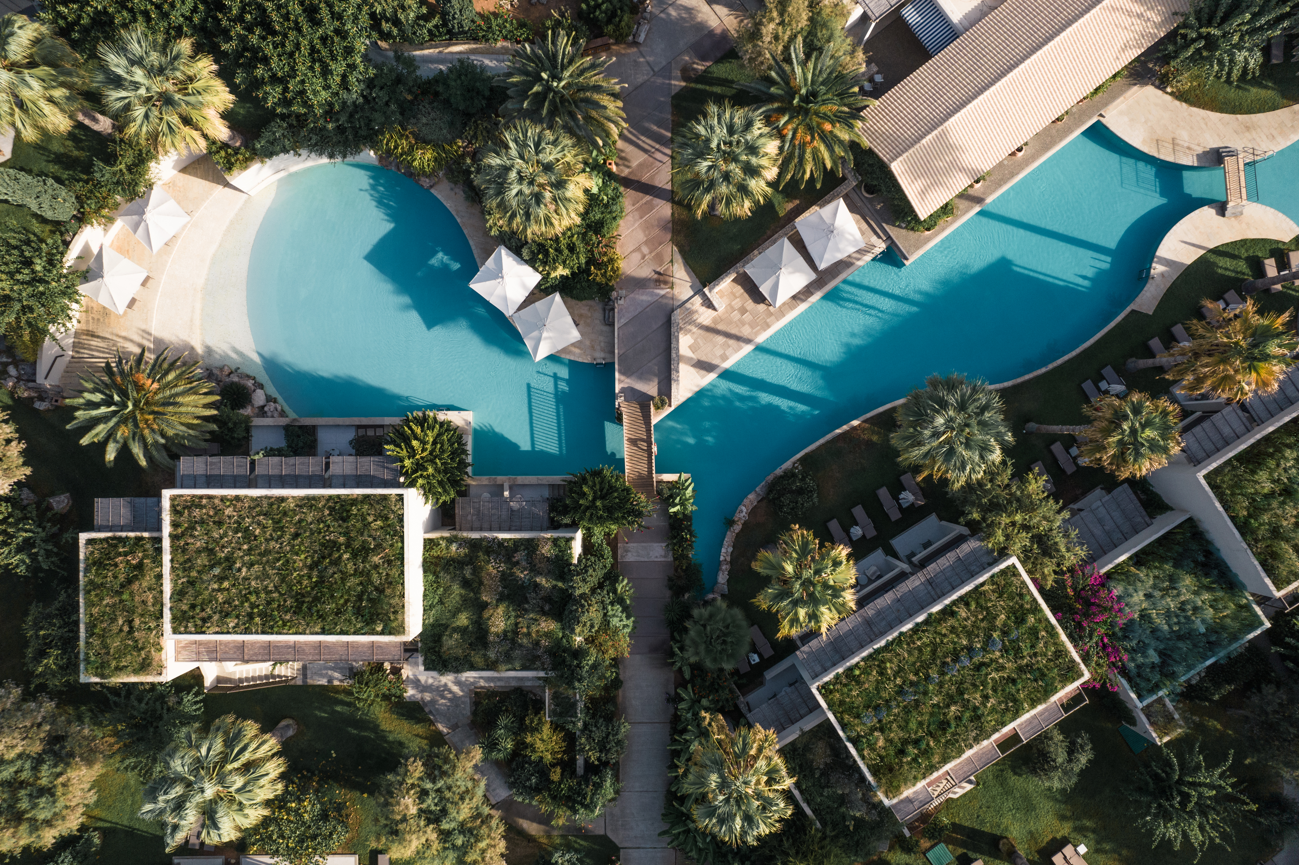 phaea cretan malia outdoor pool 7