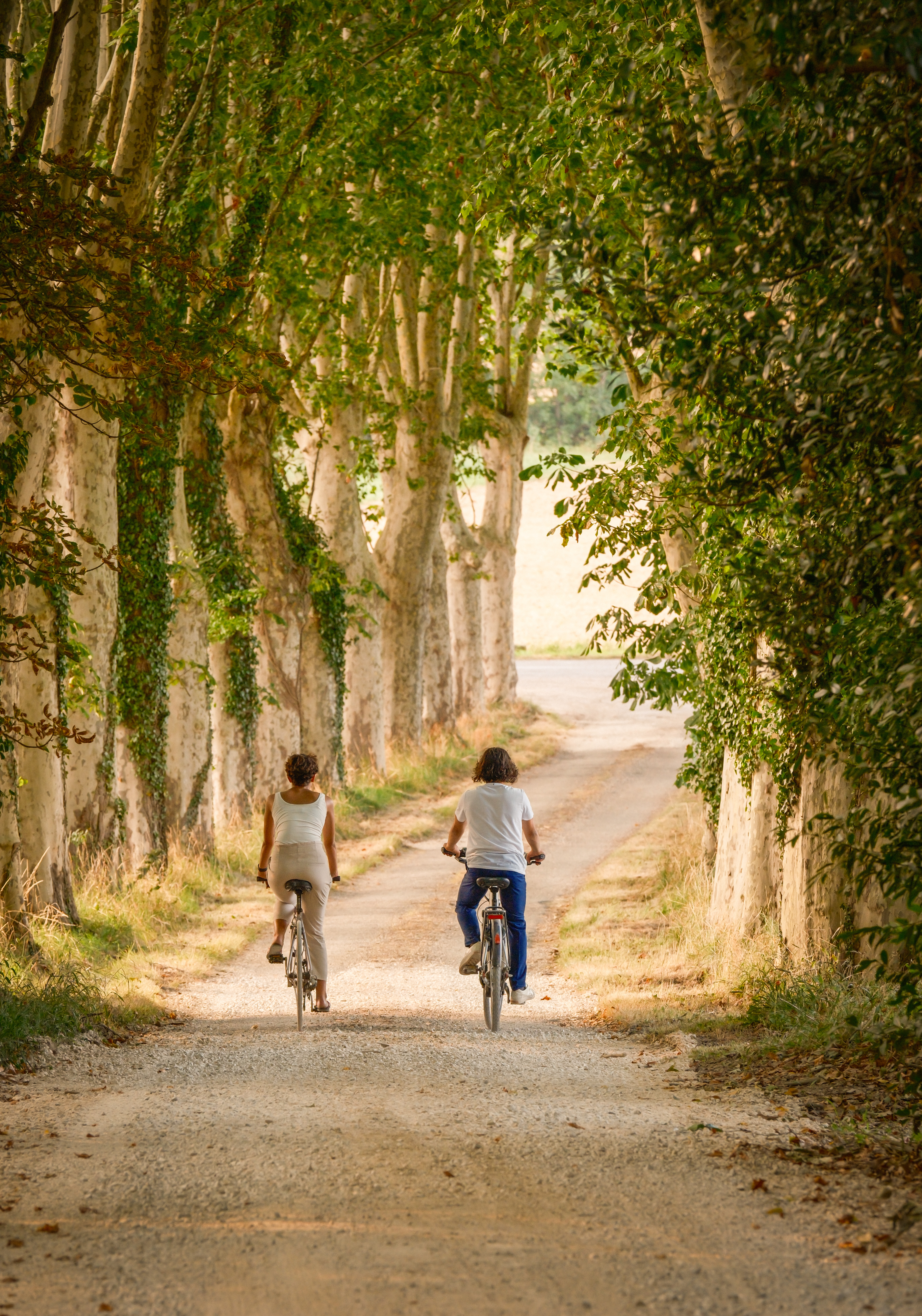 Fietsvakantie langs het Canal du Midi: 5 dagen fietsen in de Lauragais vanuit Domaine de Camboyer