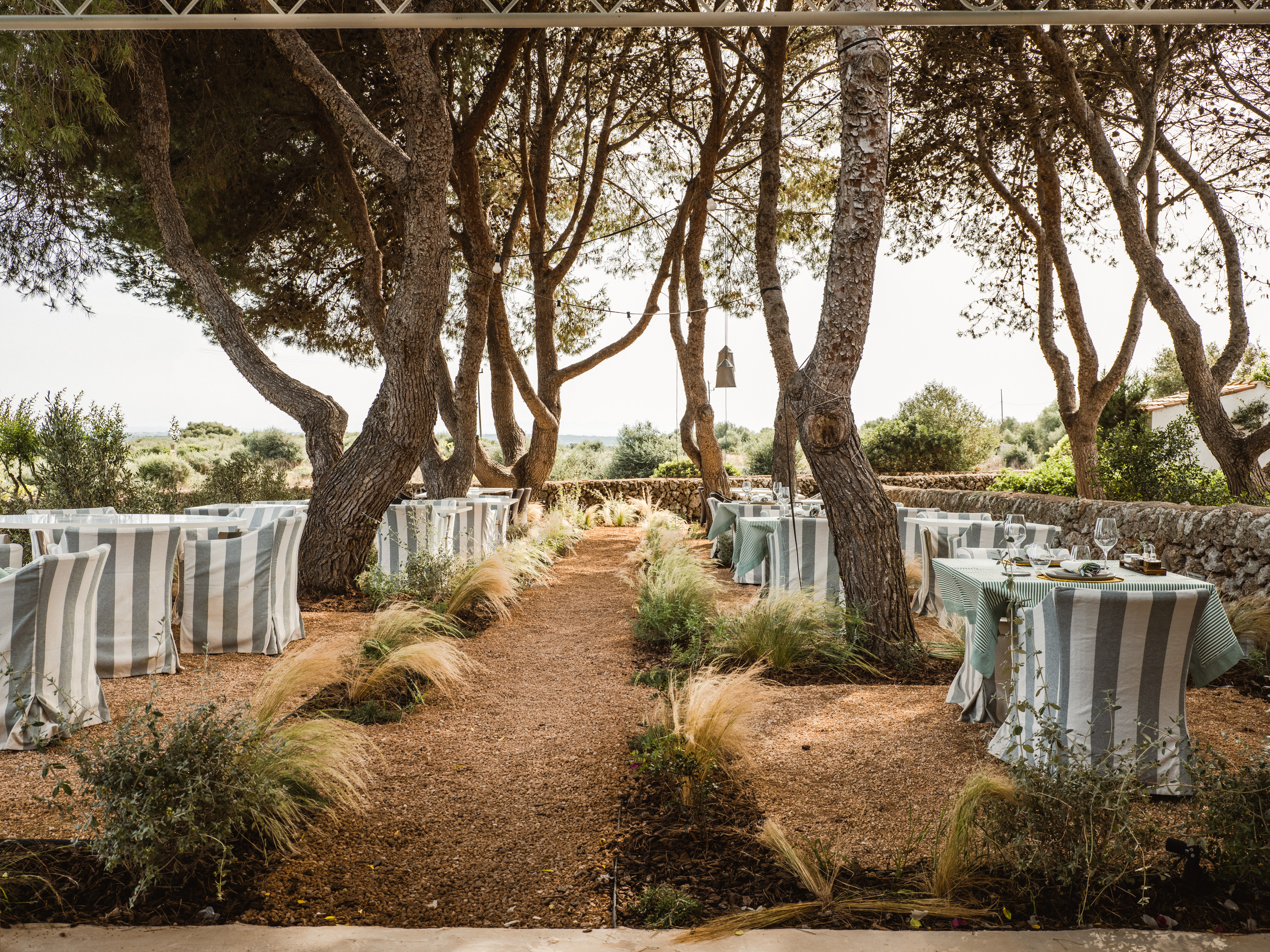 morvedra nou l espiell restaurant terrace