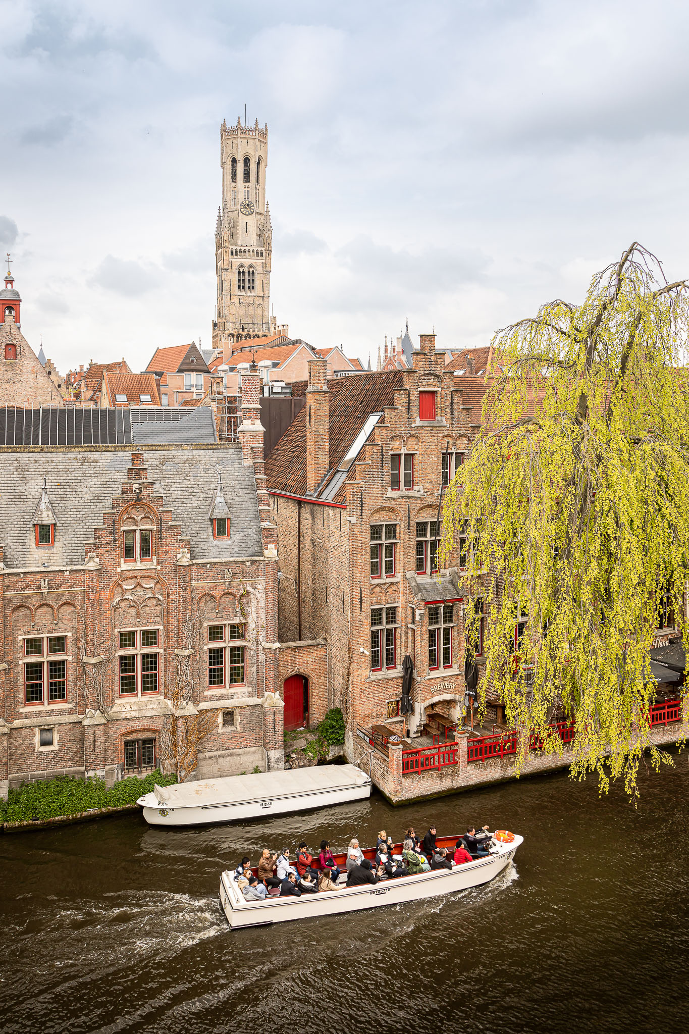 wit 20220425 155250web