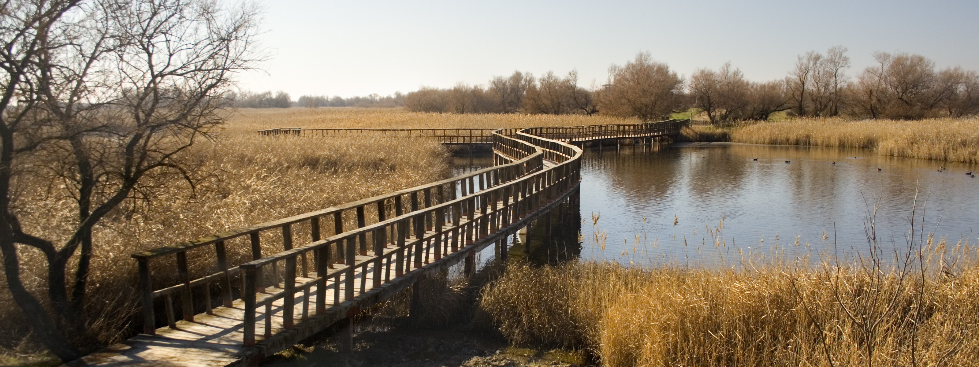 5 daagse rondreis in castilie la mancha spanje madrid