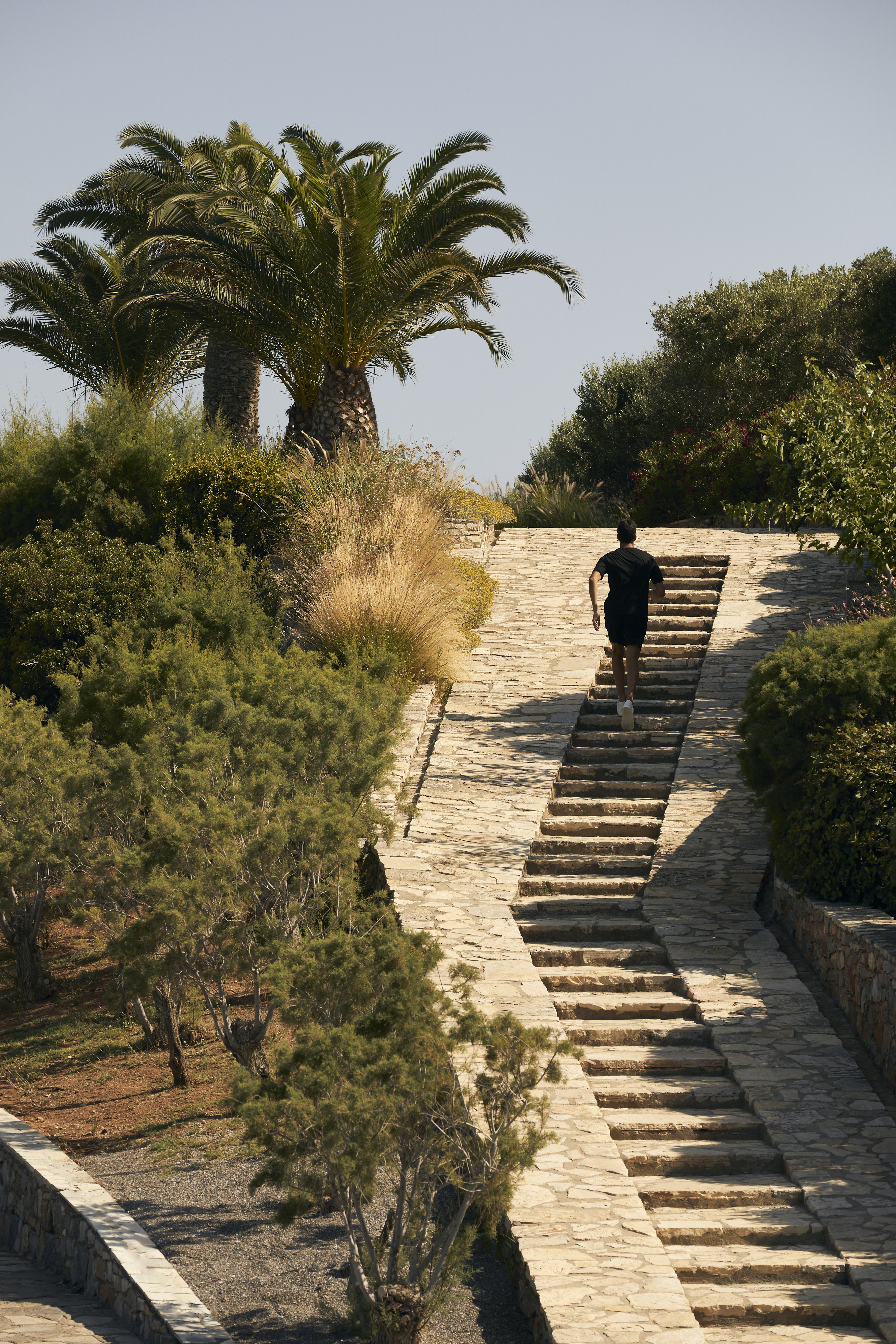 29 minos palace hotel suites myrto iatropoulou