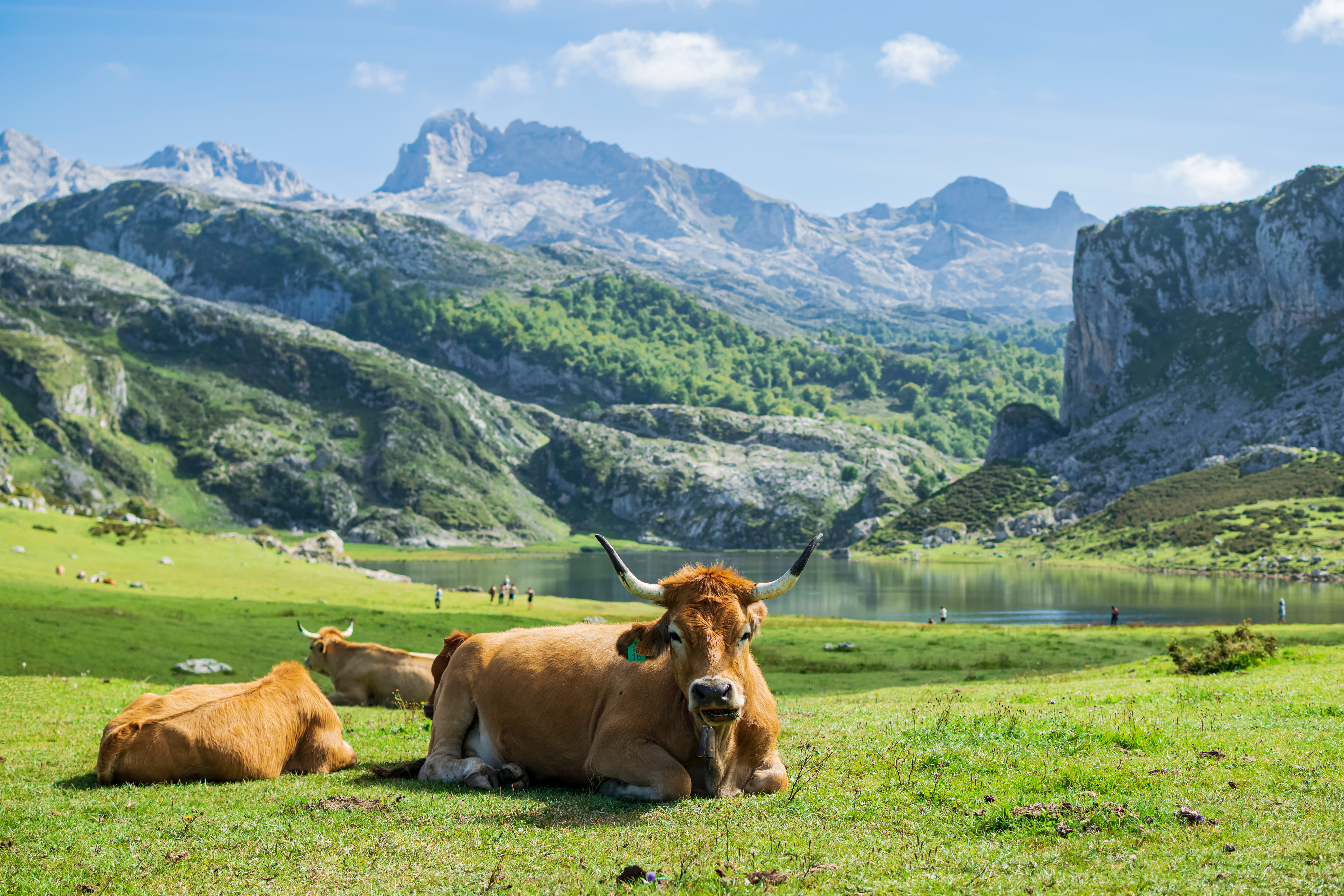 10 dagen Noord-Spanje | Picos de Europa en Galicische kust