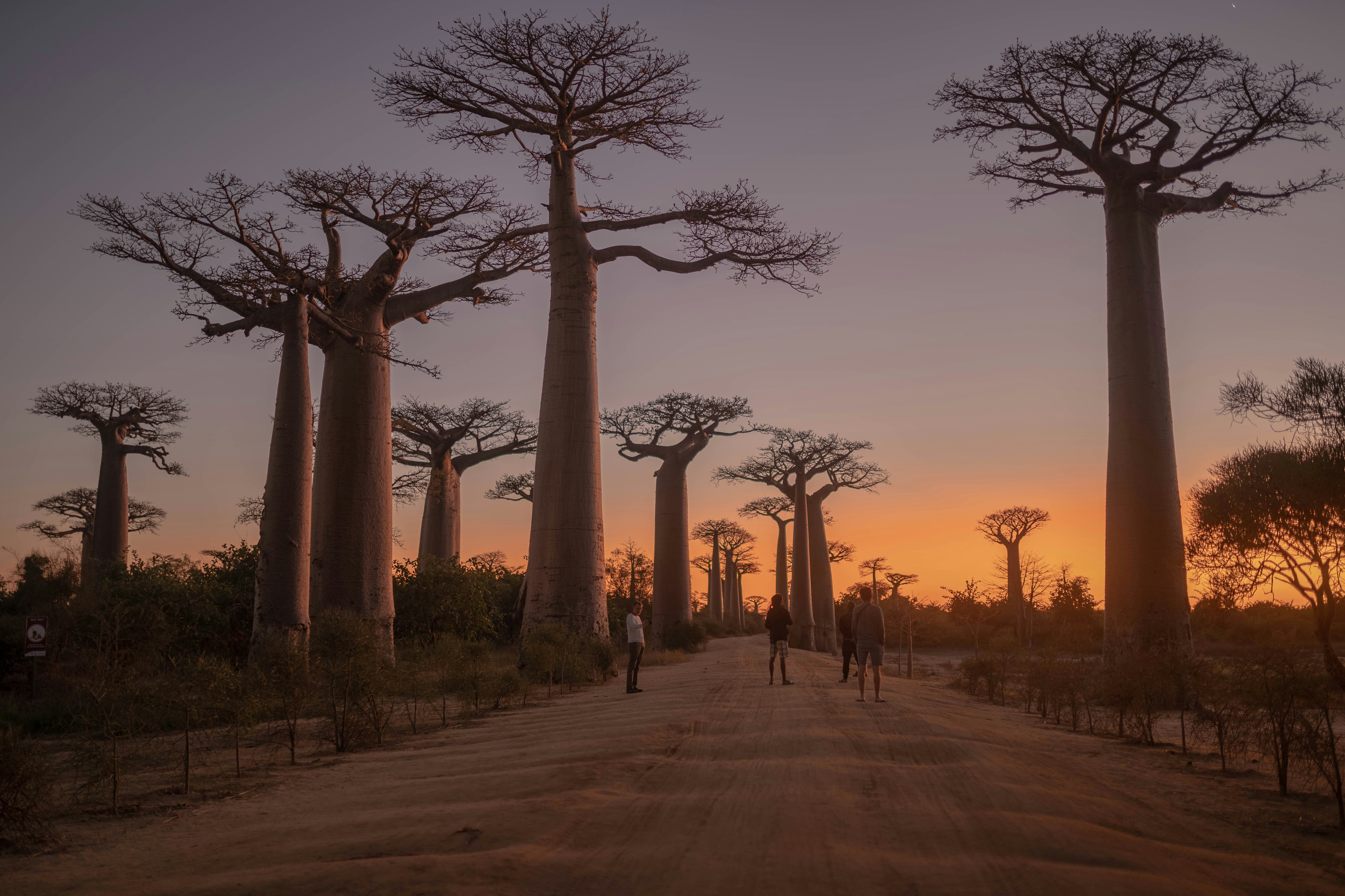 Boetiekcruise Zuid-Afrika en Madagascar: ontdek de Indische Oceaan