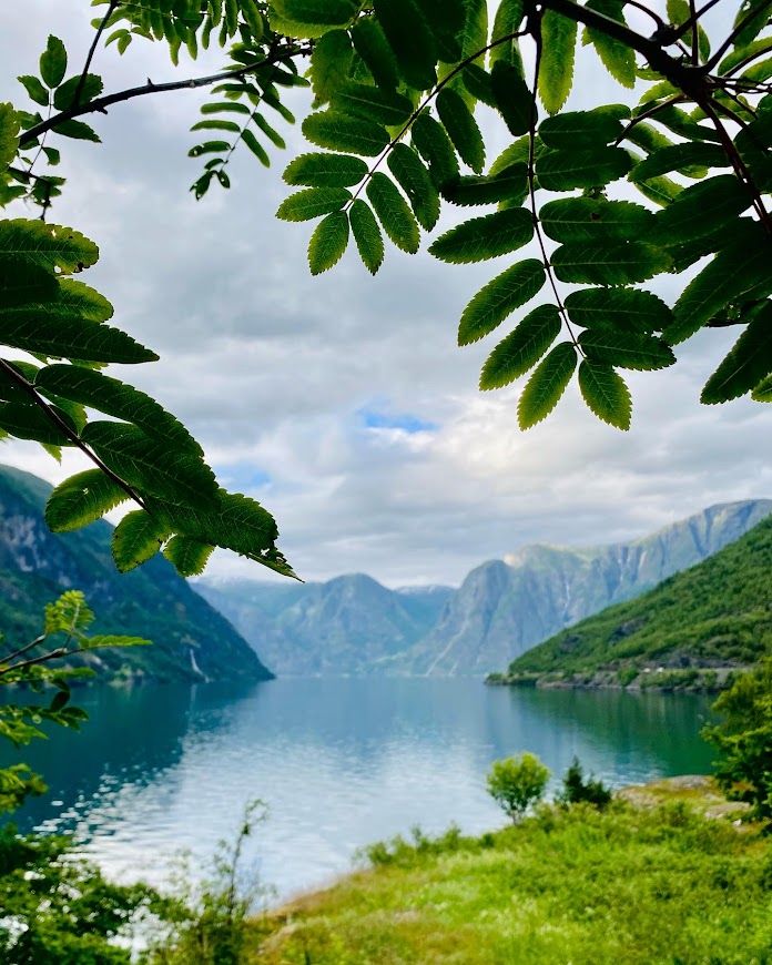 flam