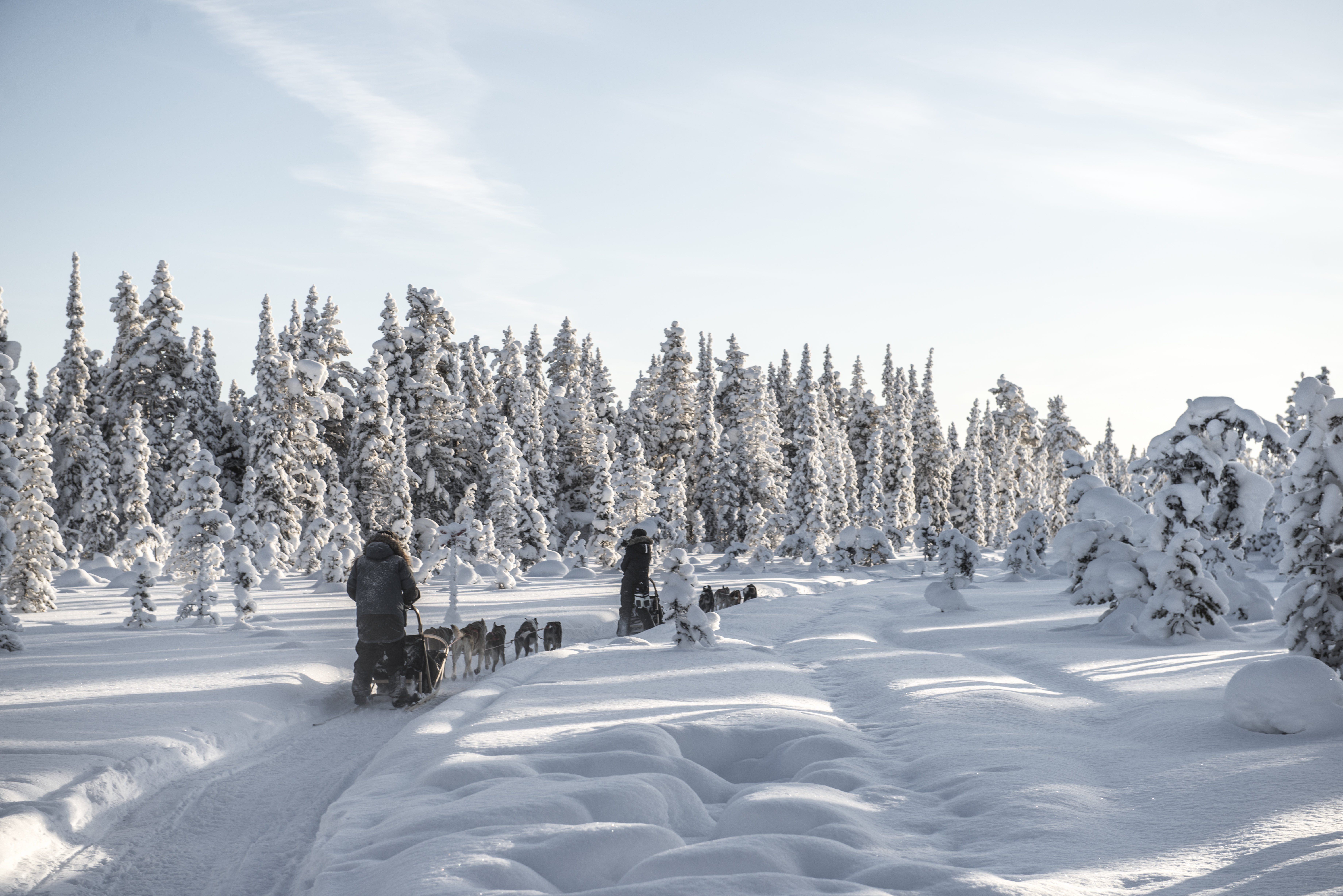 winterwonderland4