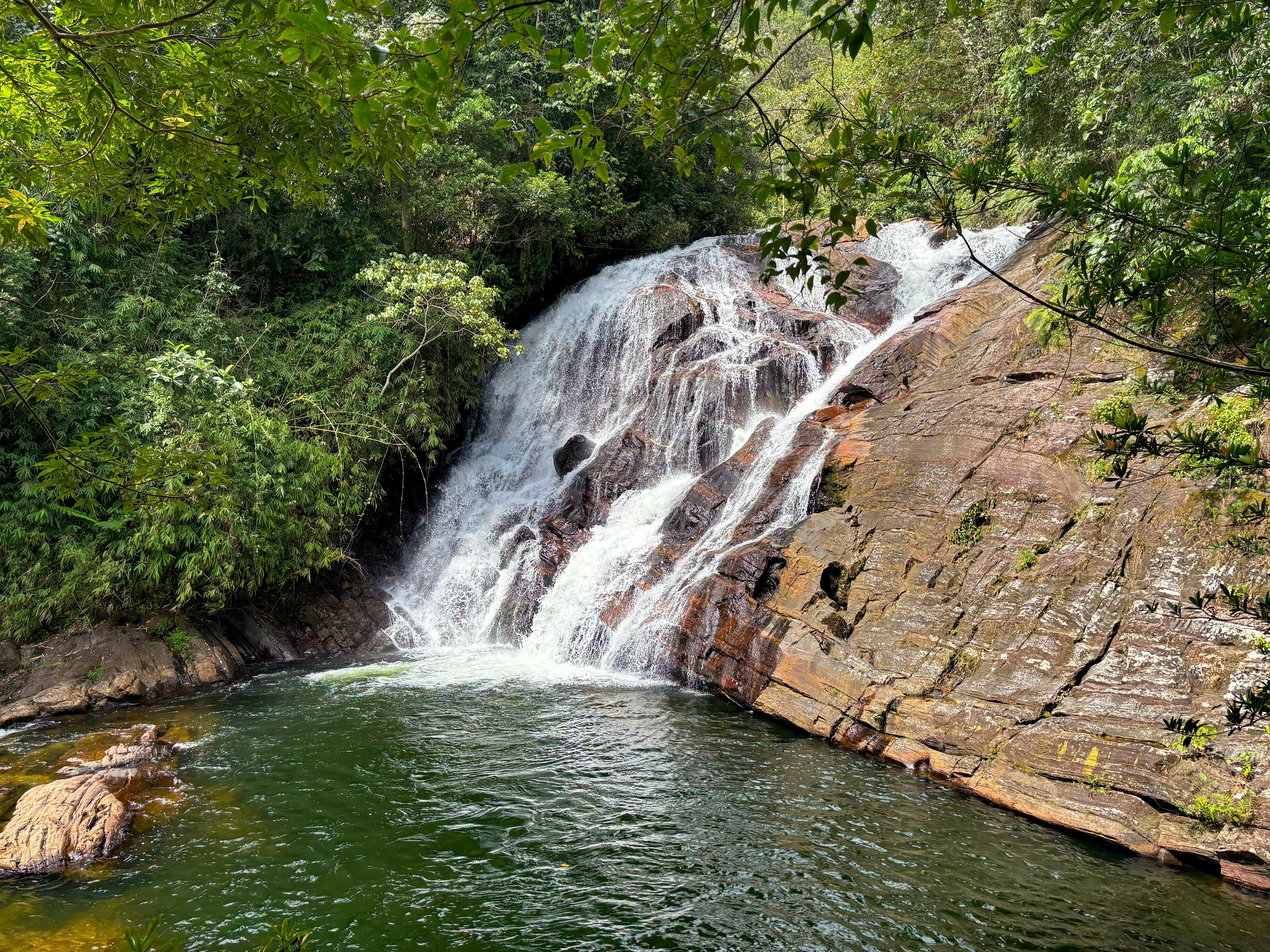 sinharaja rainforest sri lanka