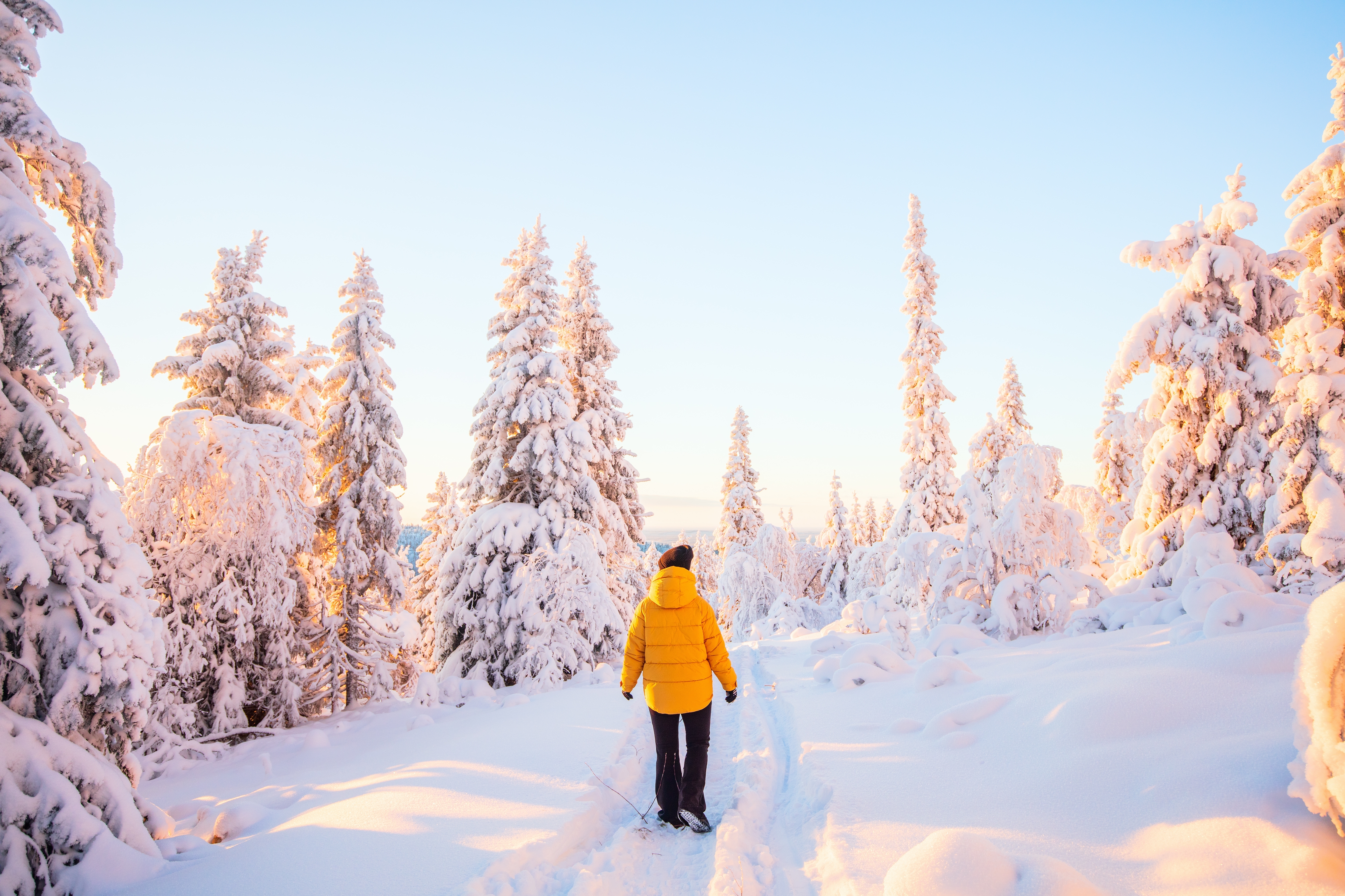 hike in lapland