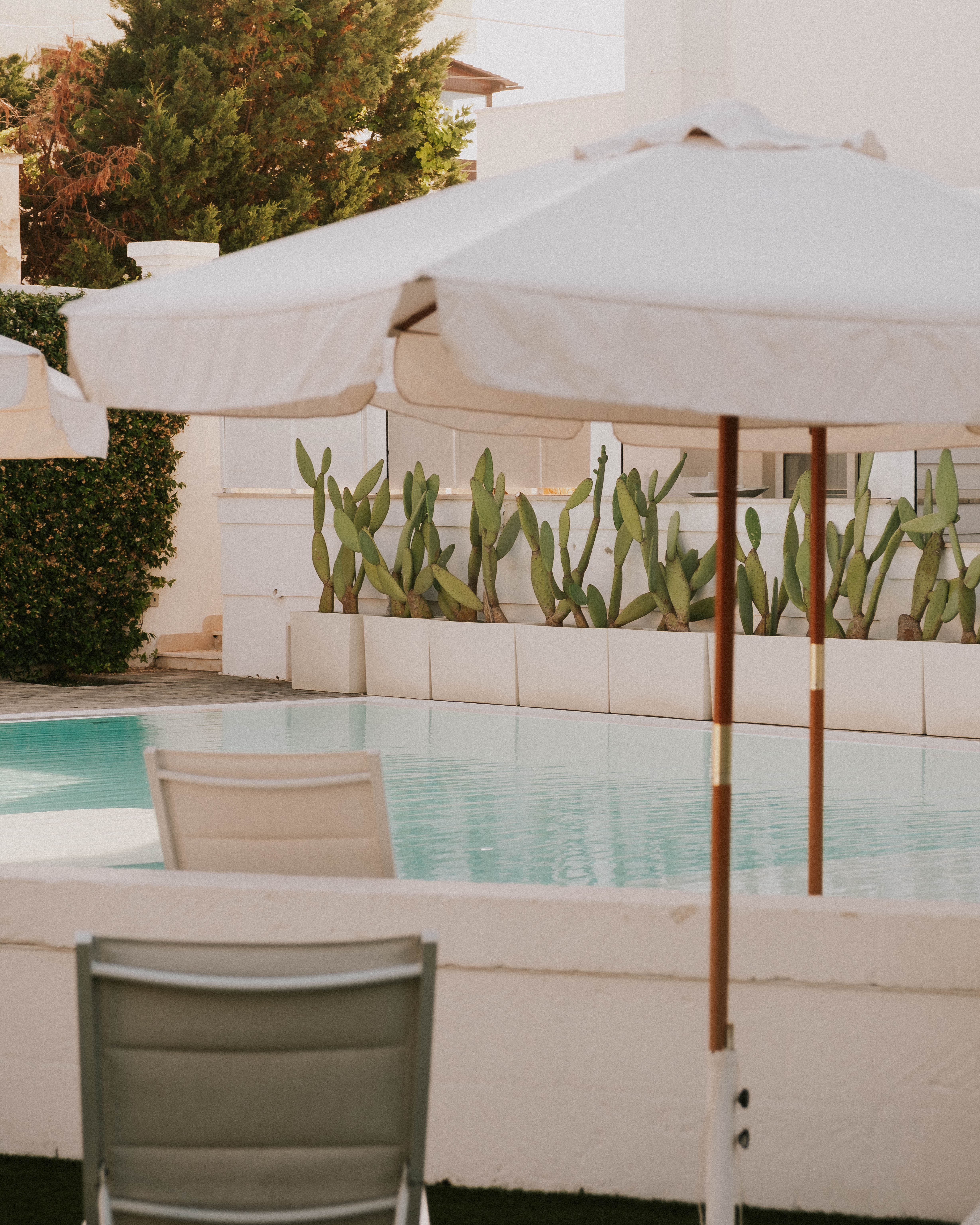 piscina 8