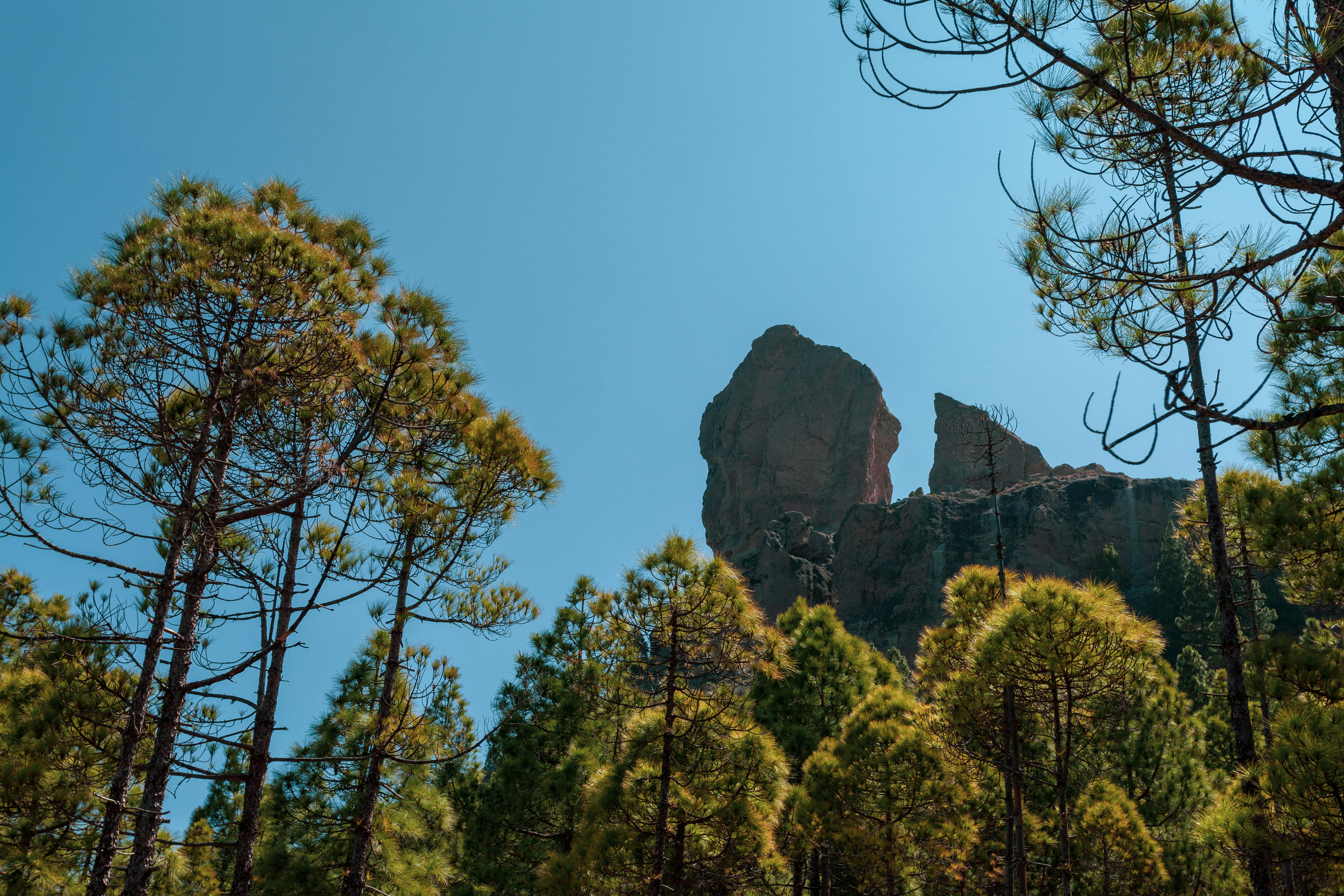 roque nublo gran canaria