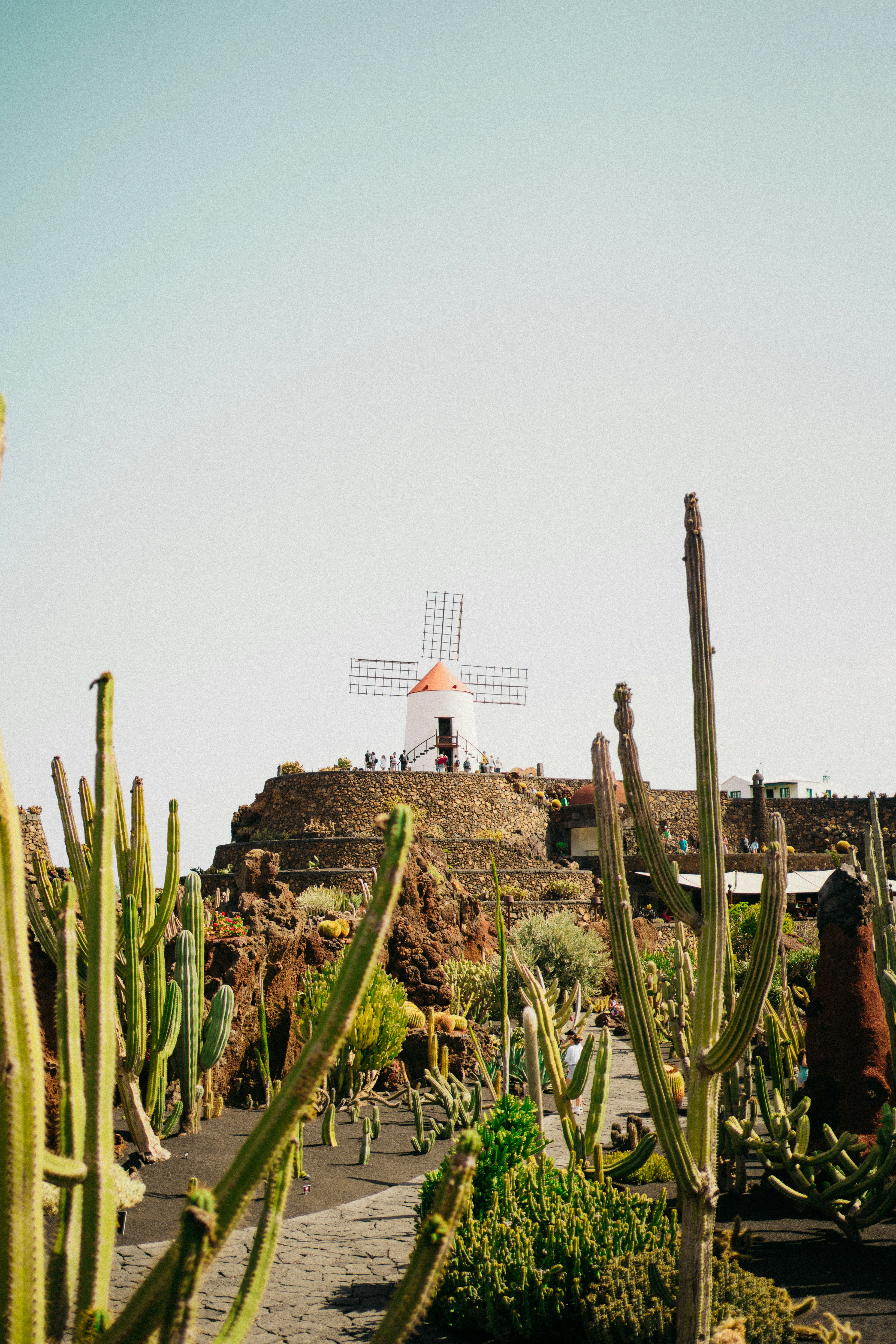 michael lammli 13gxzommb80 unsplash