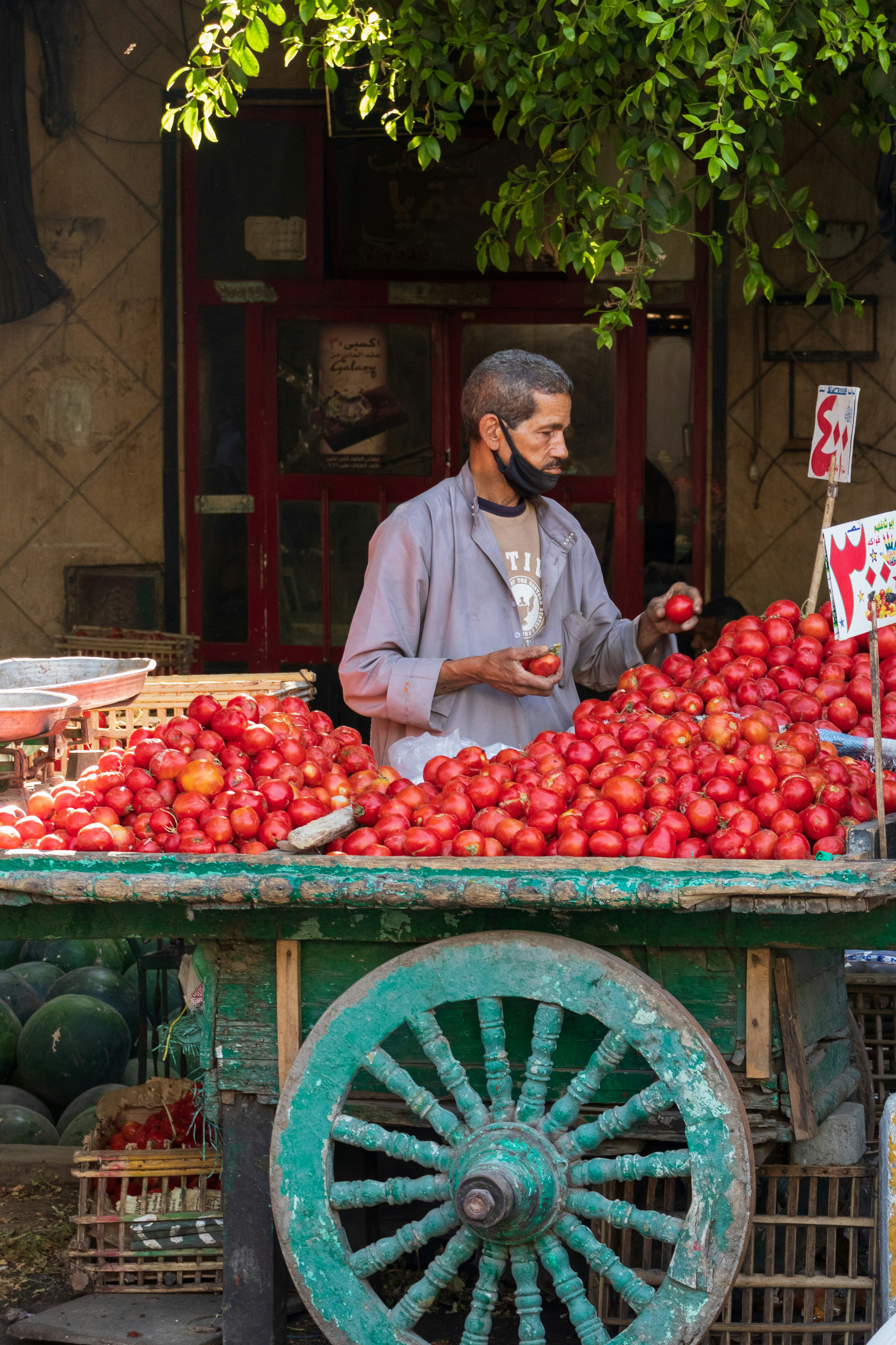 fruit en groetenverkoper cairo