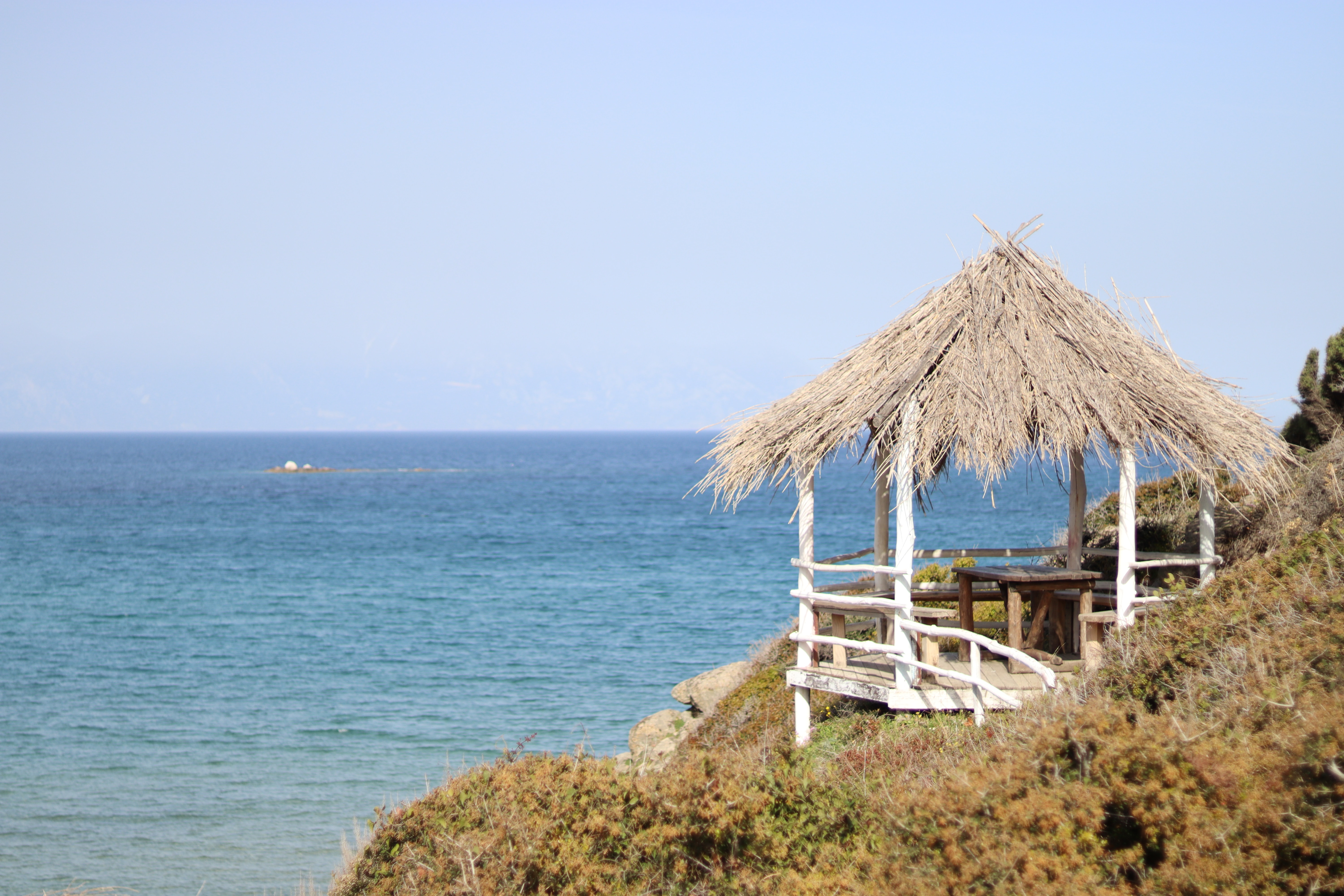 ark beach bar sarti halkidiki