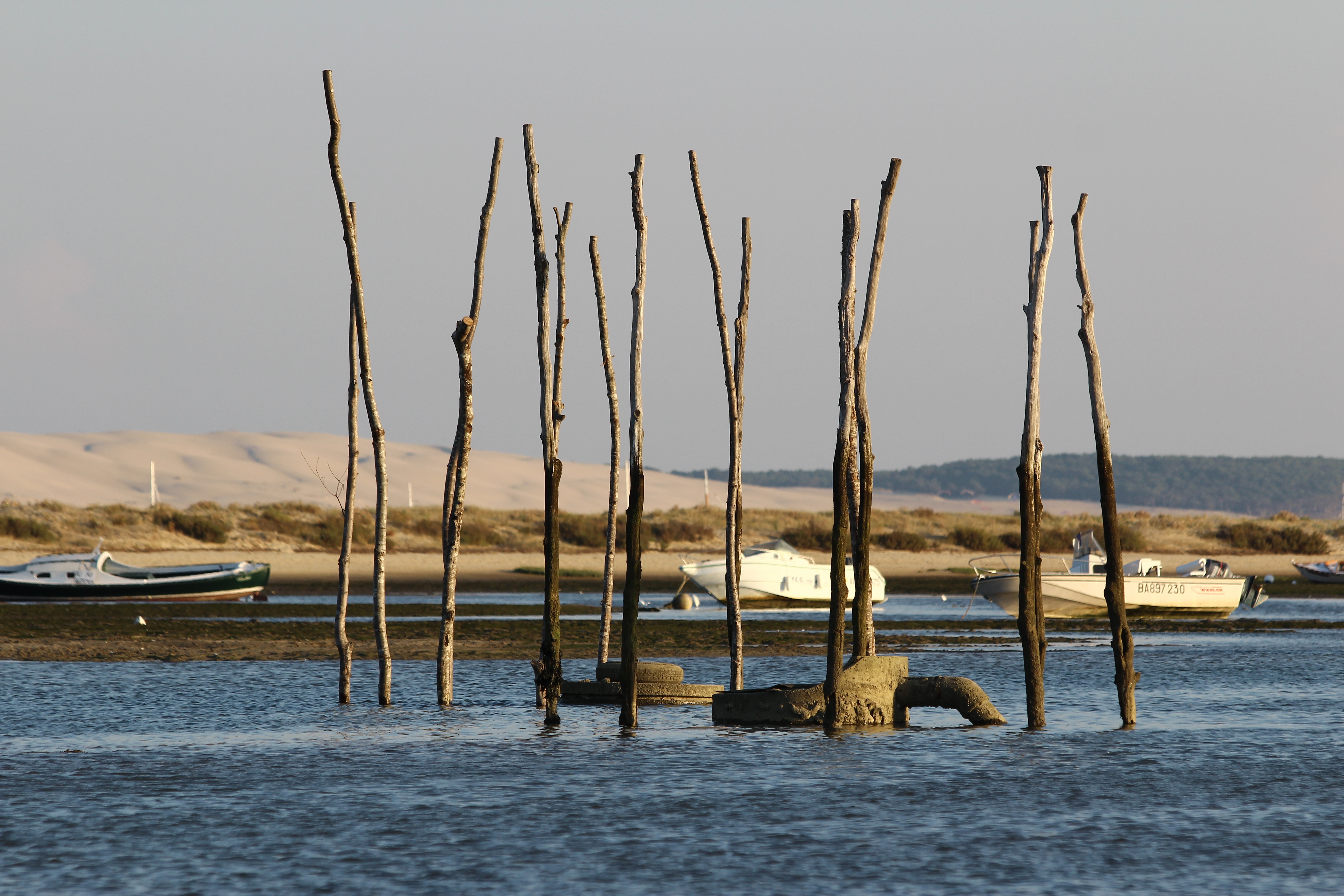 Waar kan ik wanneer naartoe reizen? 