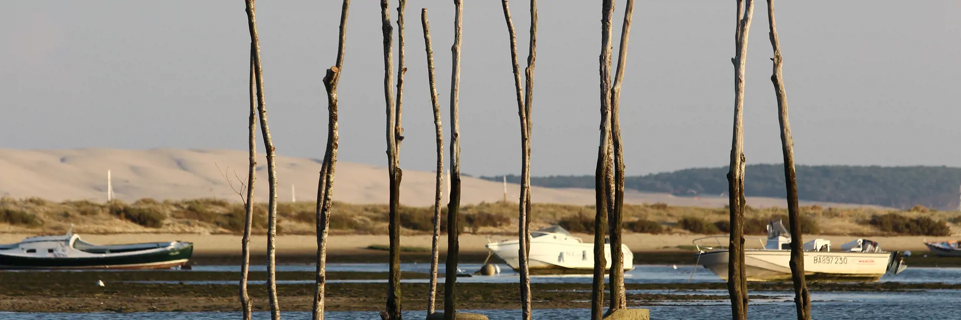 Waar kan ik wanneer naartoe reizen?
