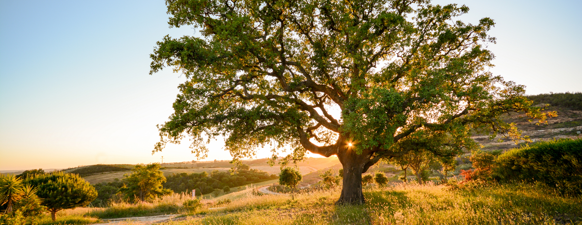 6 Redenen voor een sublieme reis naar Alentejo
