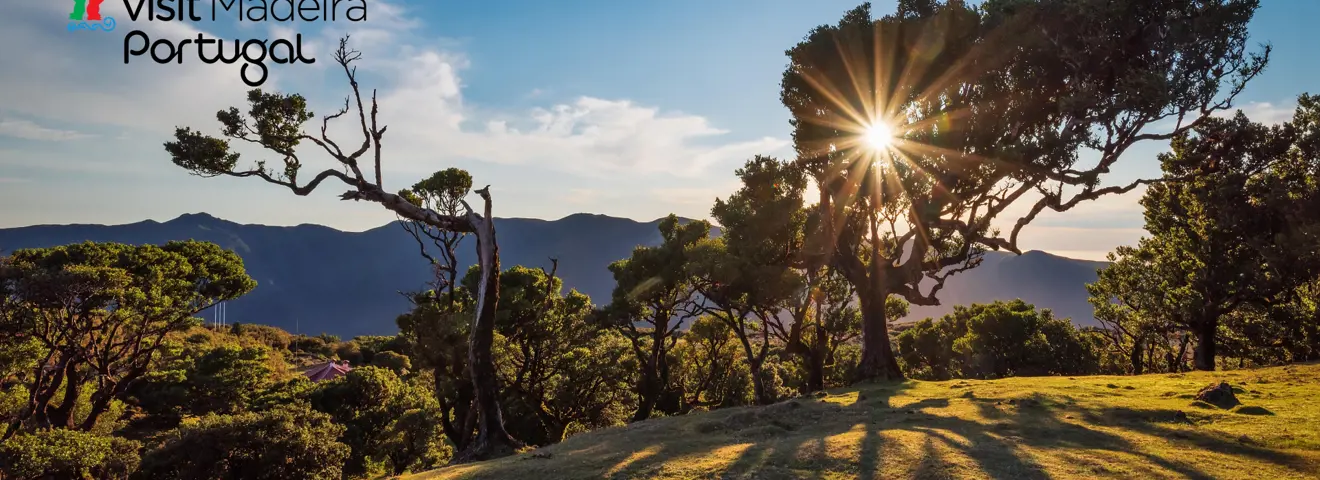 cover madeira schoonheid ligt in haar natuur