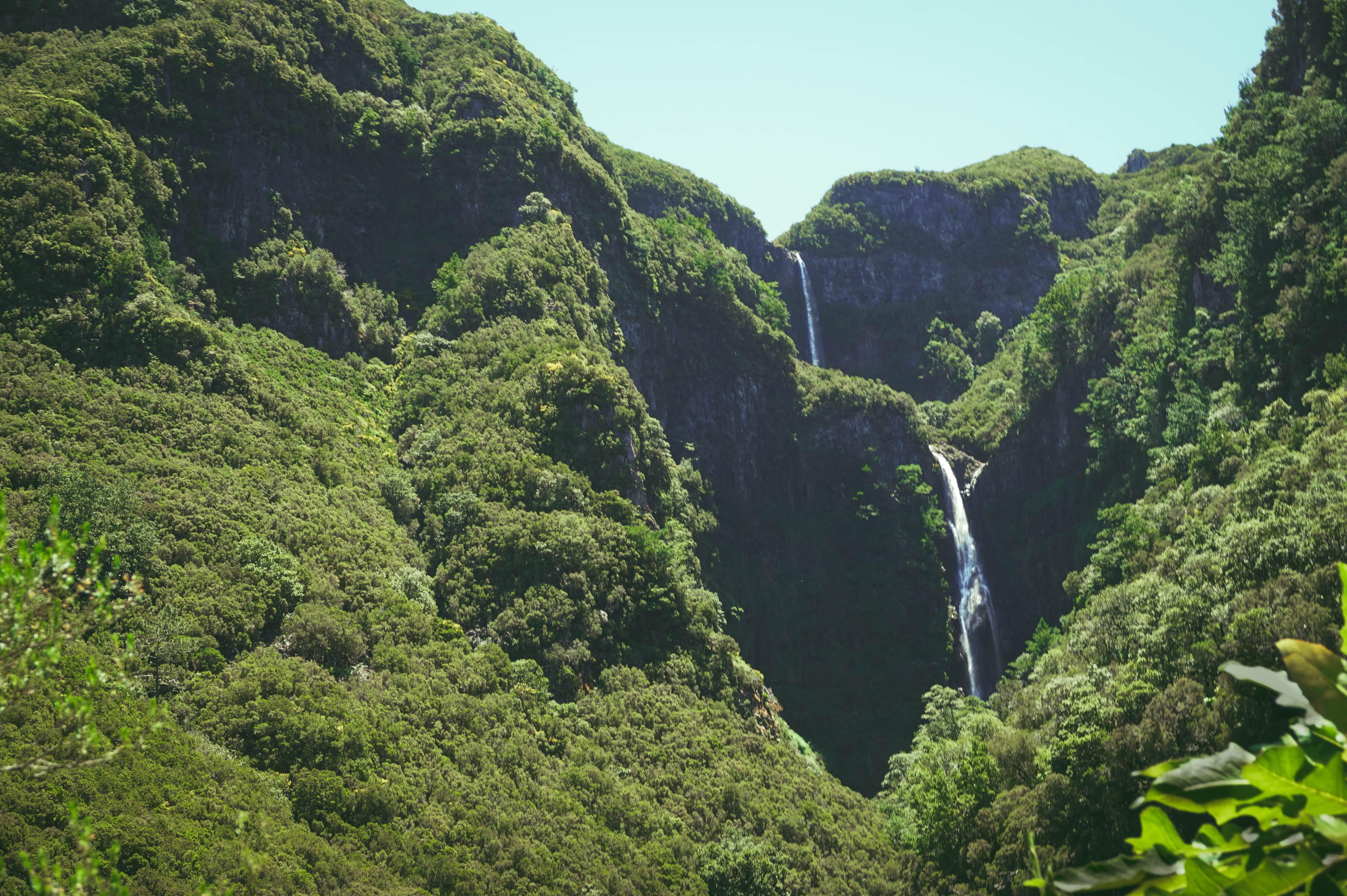 madeira landschap