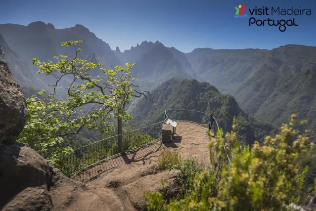 section madeira schoonheid ligt in haar natuur 0