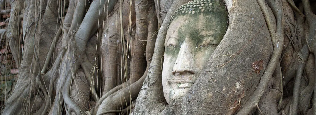 buddha hoofd