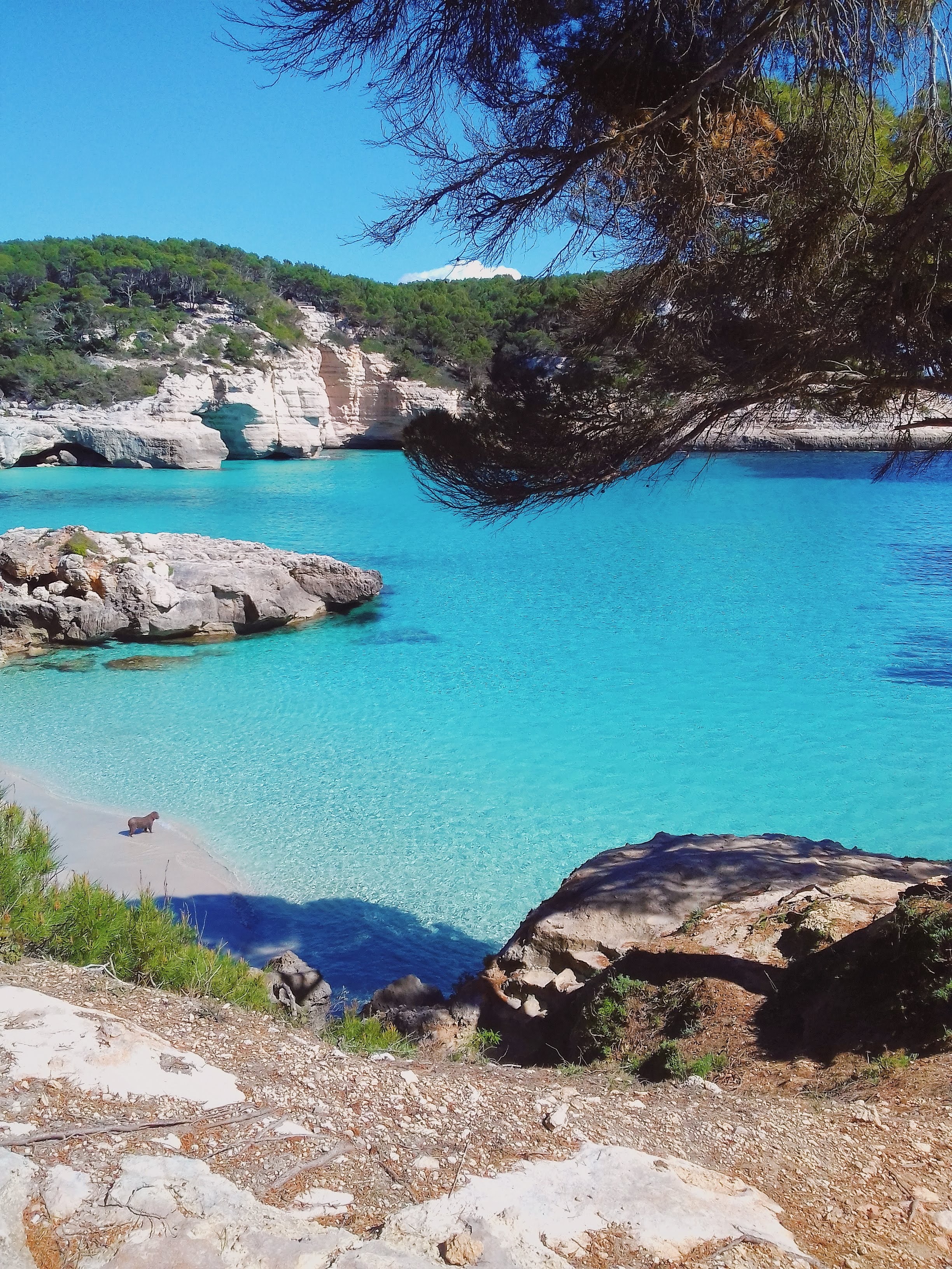 cala mitjana in menorca