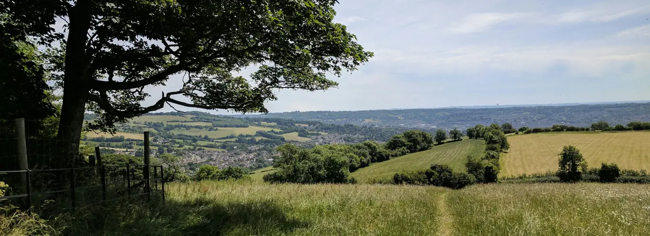 cotswolds way