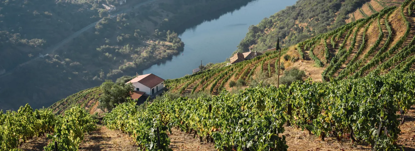 douro 1