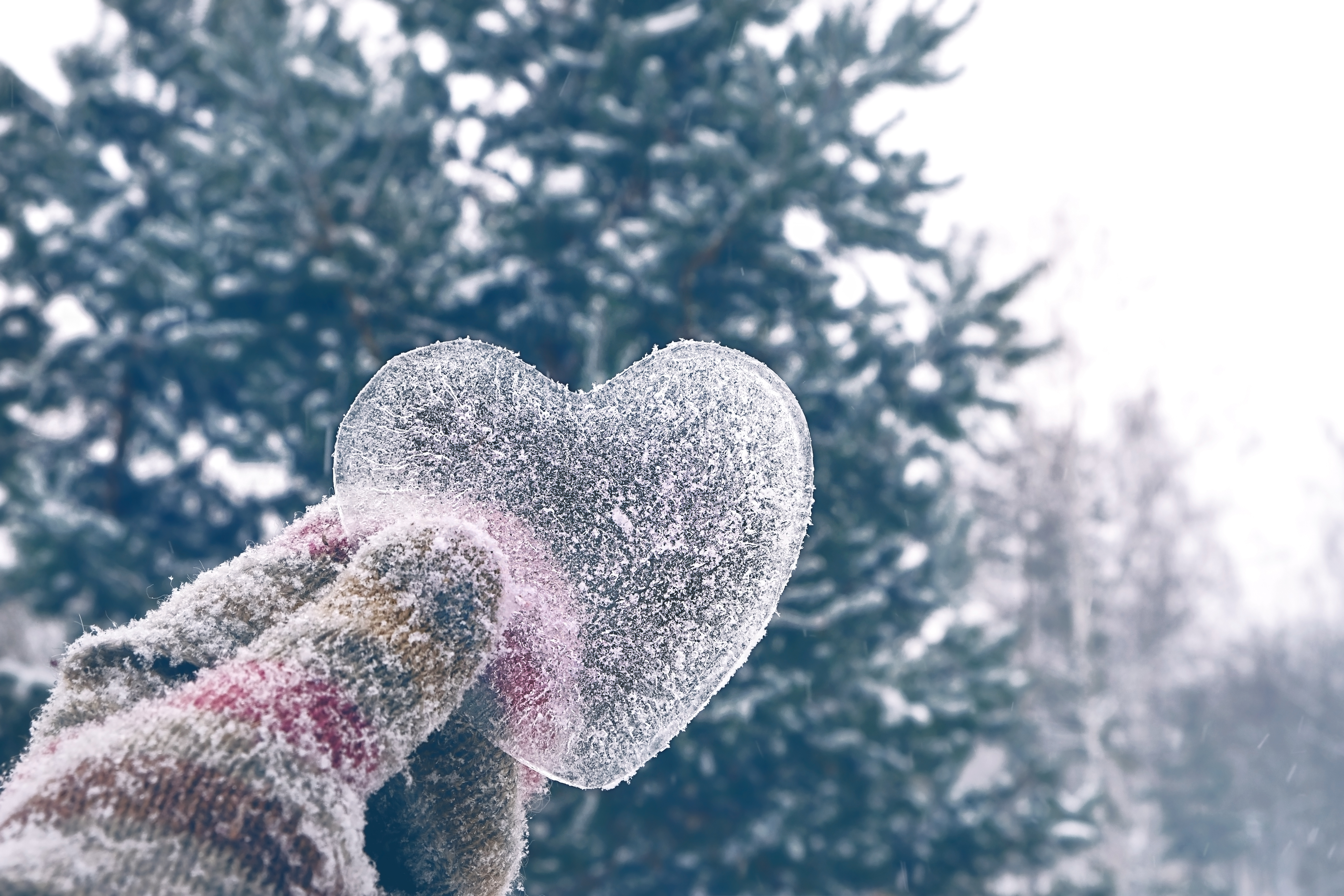 Voorjaarsvakantie 2026 met Caractère