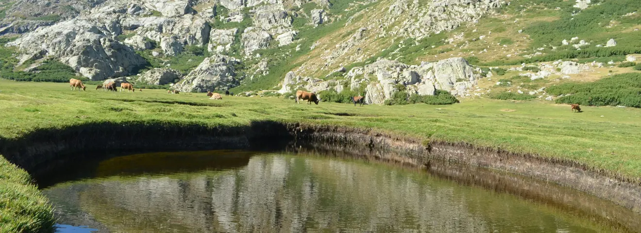 gr20 corsica