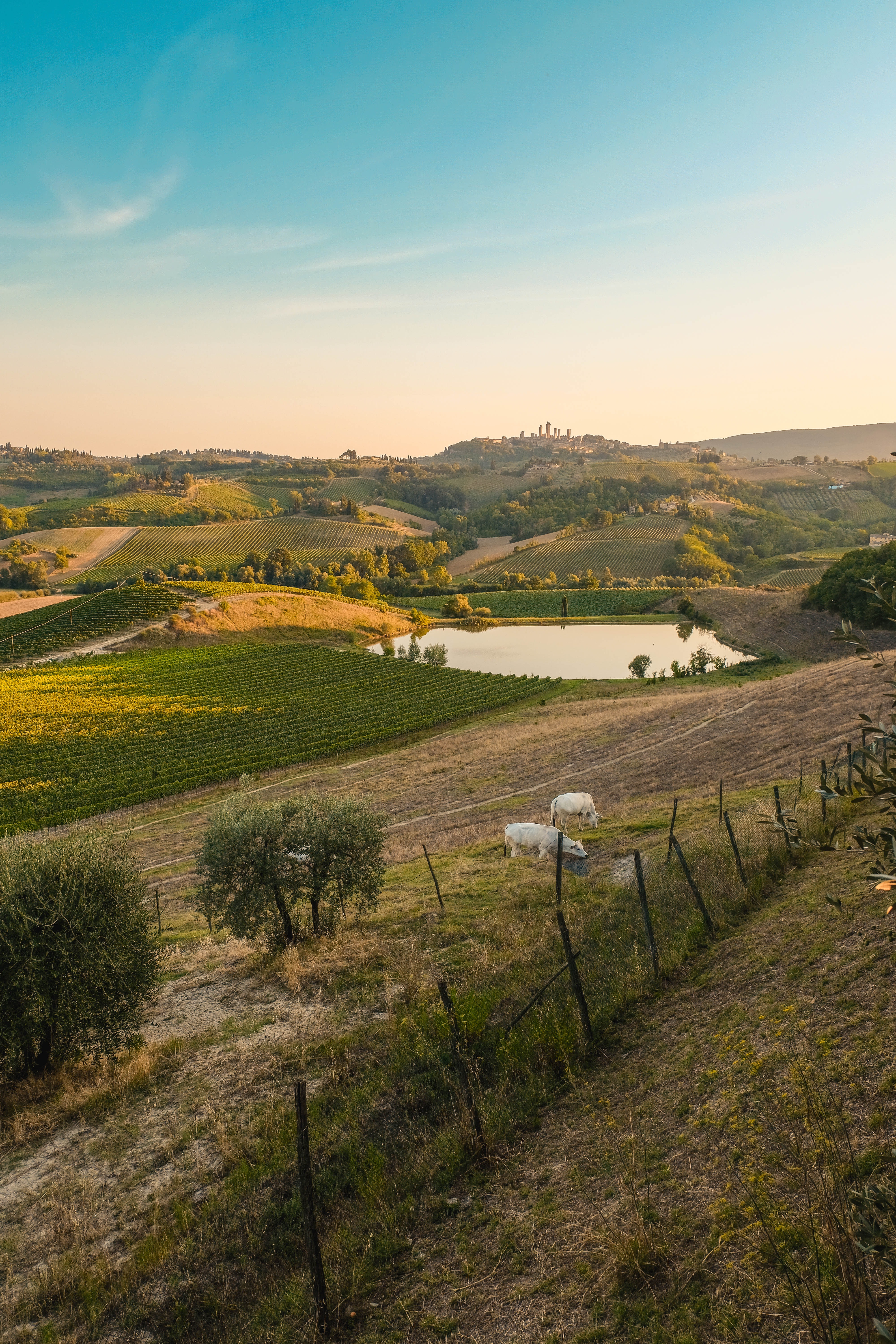 itrr0007 ontroerend mooi toscane 13