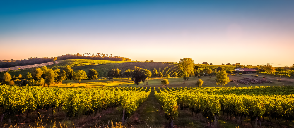 Herfstvakantie 2026 met Caractère