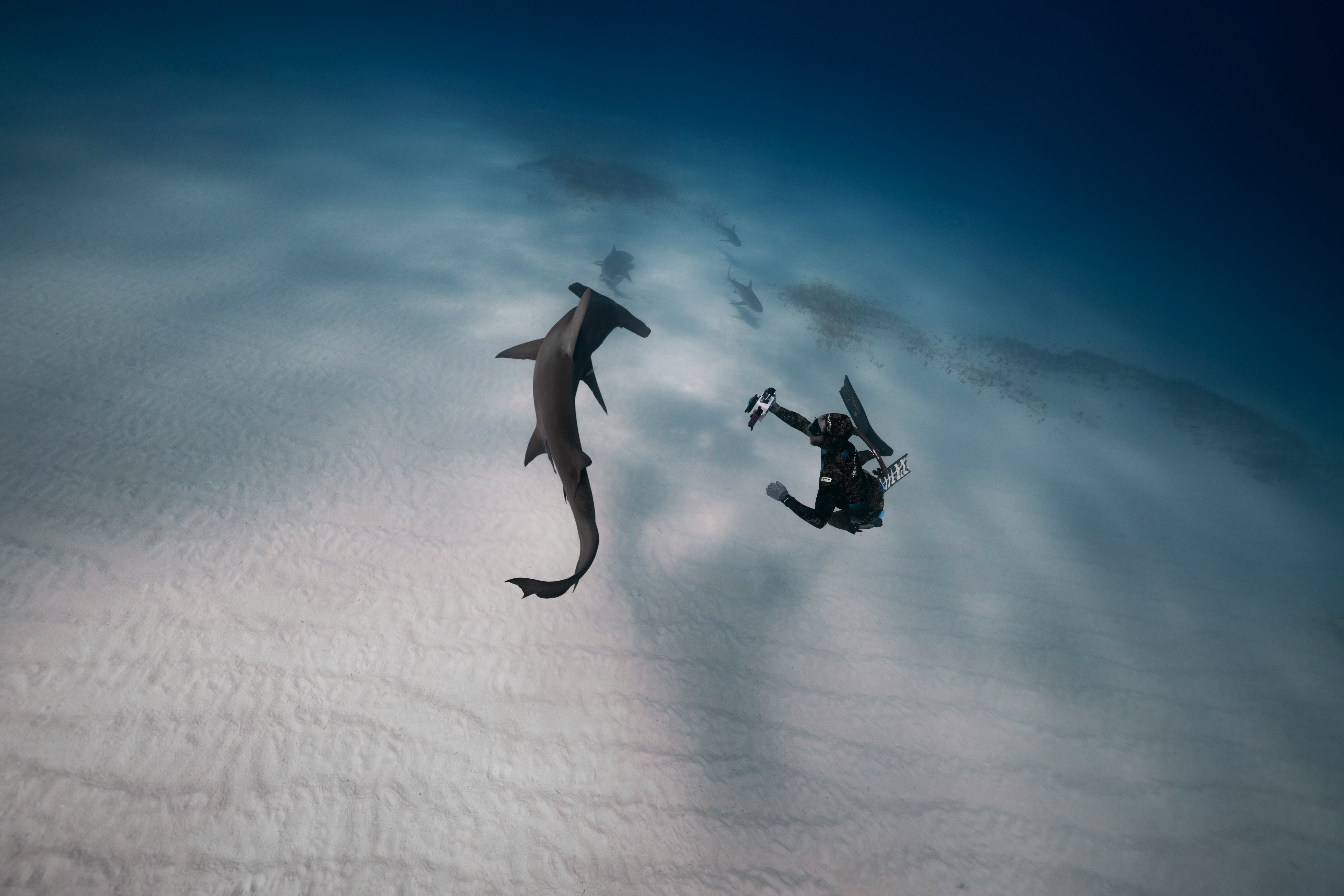 michael worden rw mc71krsa unsplash