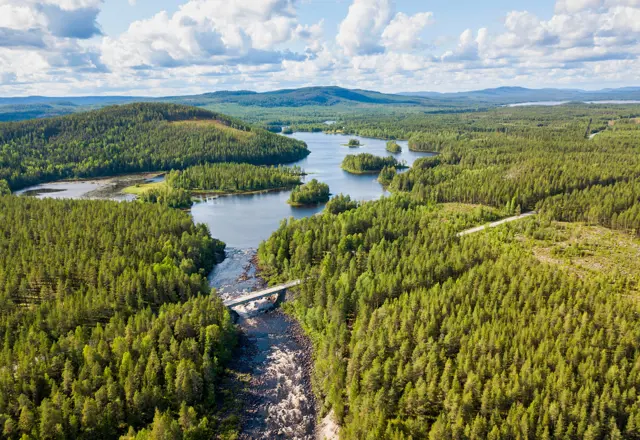 unieke natuur lapland